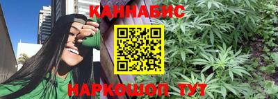 твердый Будённовск